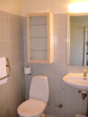 64_007_toilet